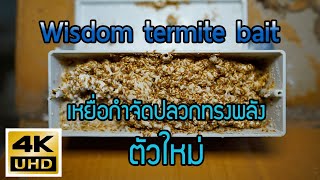 Wisdom termite bait เหยื่อกำจัดปลวกทรงพลังตัวใหม่ล่าสุด เทคโนโลยีจากเยอรมัน