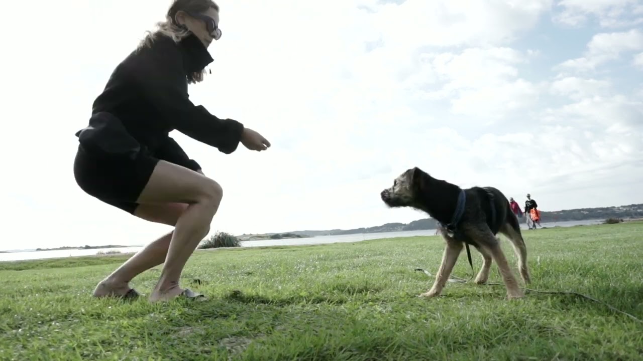valpövningar  - Omvänt lockande