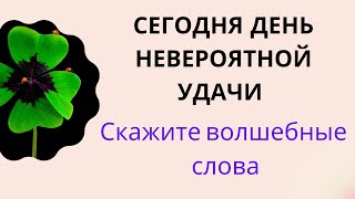 Сегодня день невероятной удачи. Скажите волшебные слова.