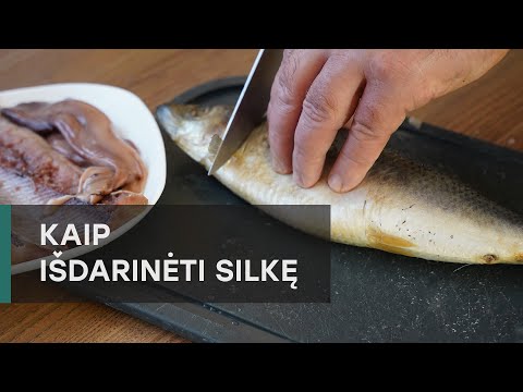 Video: Ar silkė turi kaulus?