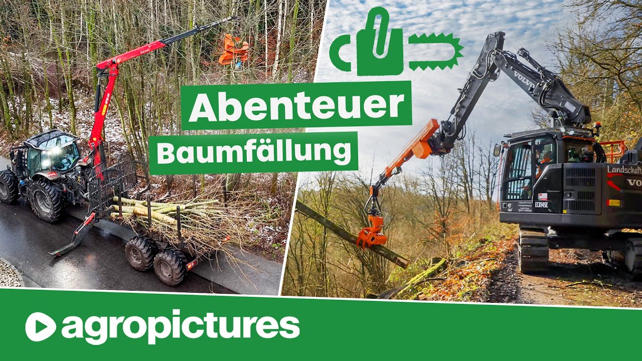 Baumfällung extrem mit Westtech Woodcracker am Hoflader, Rückewagen, Bagger und Teleskoplader