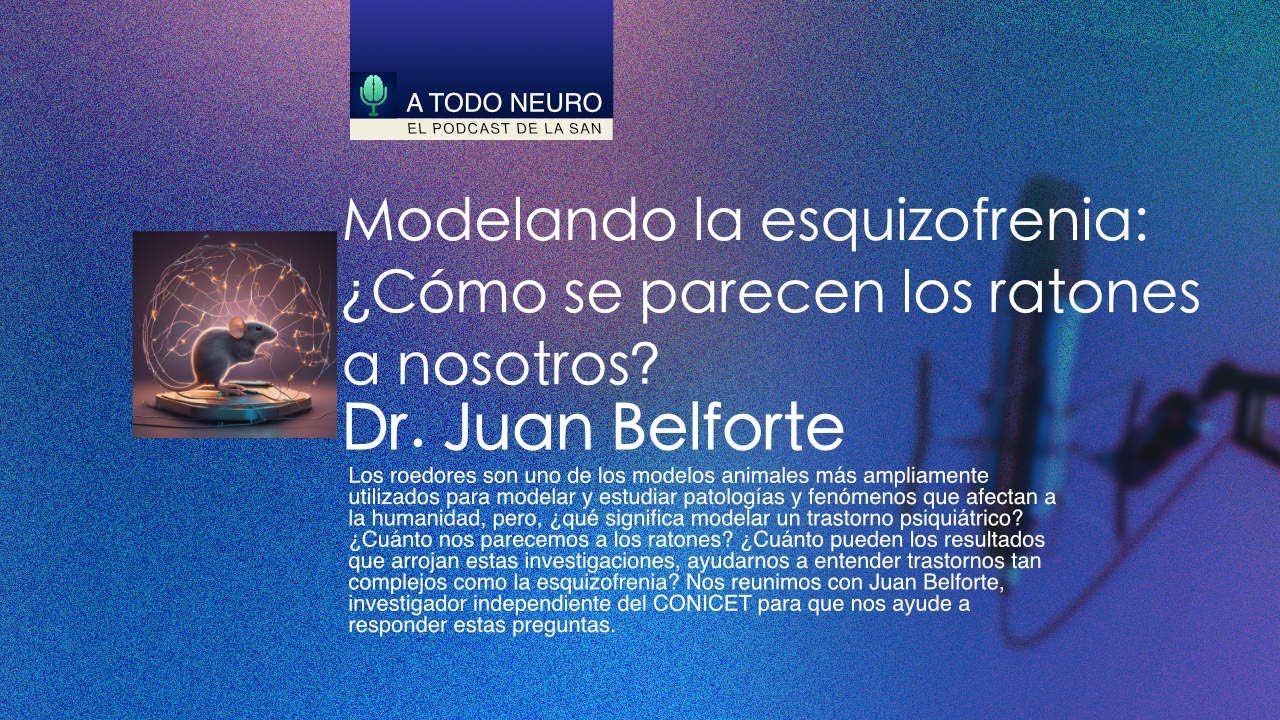 Modelando la esquizofrenia: ¿Cómo se parecen los ratones a nosotros?