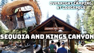Sequoia National Park Overnight Camping! Our First Time at Sequoia | Lodgepole Campground