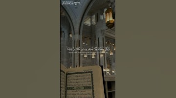 #قرآن #تلاوة_خاشعة #أحمد_طالب #ياسر_الدوسري #أئمة_الحرمين_الشريفين #quran #holyquran #islam #غزة