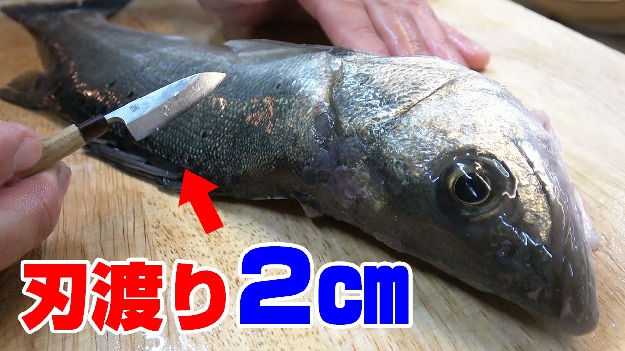 釣りいろは特集 地元愛と釣りシーン満載の人気ユーチューバーを徹底チェック Fishing Japan Line News
