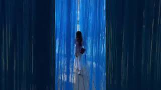 Pamm Such A Great Place To Visit In Miami