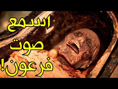 السعوديه تكشف لاول مره معجزة كبيرة بداخل قبر الرسول ﷺ سبحان الله !!