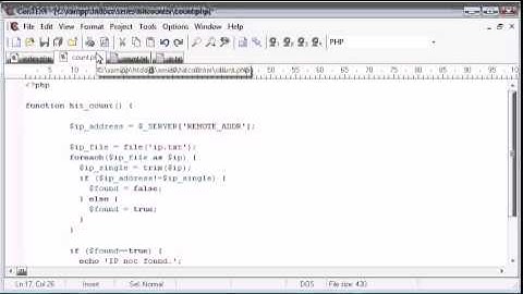 94   Creating a File Based Unique Hit Counter Part 2   PHP Tutorials