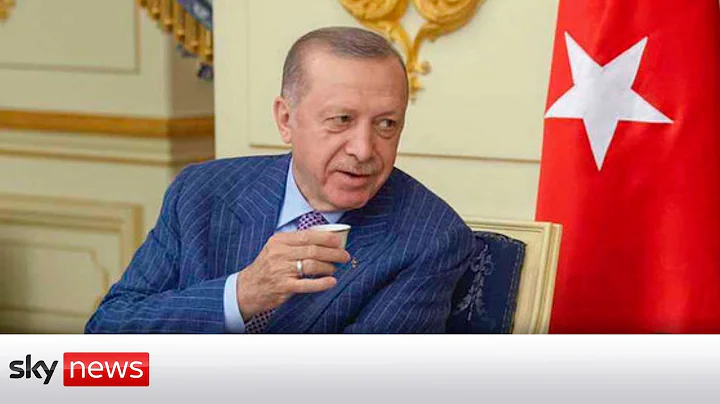 Erdoğan says Turkey 'not favourable' of Finland and Sweden joining NATO - DayDayNews