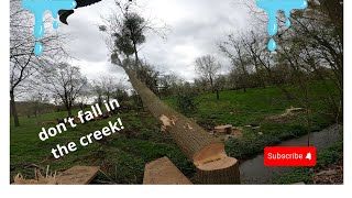 !Falling Big Timber Across The Creek!  PART 1