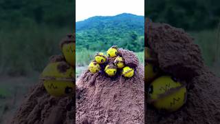 Survival Skills: SMART idea and USEFUL #tiktok #bushcraft #camping #Outdoors #survival