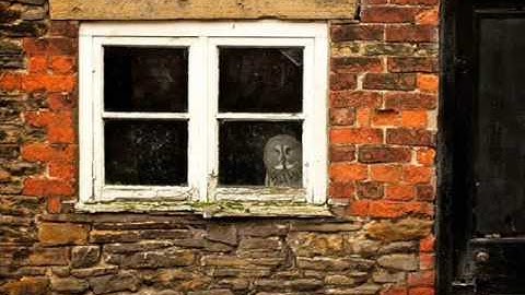 Aleksandra Đokić  - Open Silence II