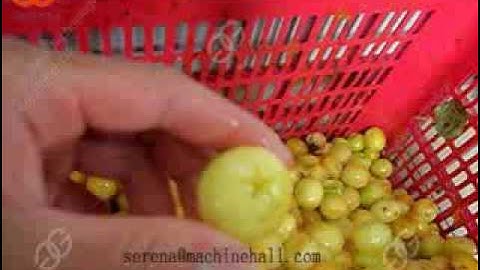 Apricot/Almond  Kernel Removing Machine/Separator Machine