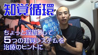 知覚循環を深堀り！５つの知覚システムを治療のヒントに 理学療法士・作業療法士のための動作分析[ReHub]