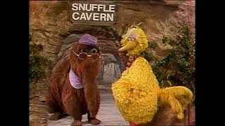 Sesame Street 1494 Street Scenes Big Bird Stays Overnight In Mr Snuffleupagus Cave