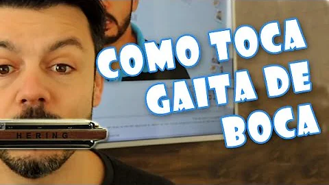 Quem toca gaita e o gaitista?