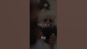 تلاوة القارئ ماهر المعيقلي سورة نوح اية 28 #قرآن #ماهر_المعيقلي #سورة_نوح