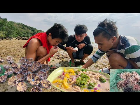 Grabi ang sarap, sea urchin ( tuyom) at sea grapes (latu)