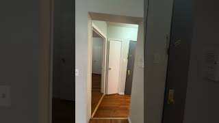 IMG 6890