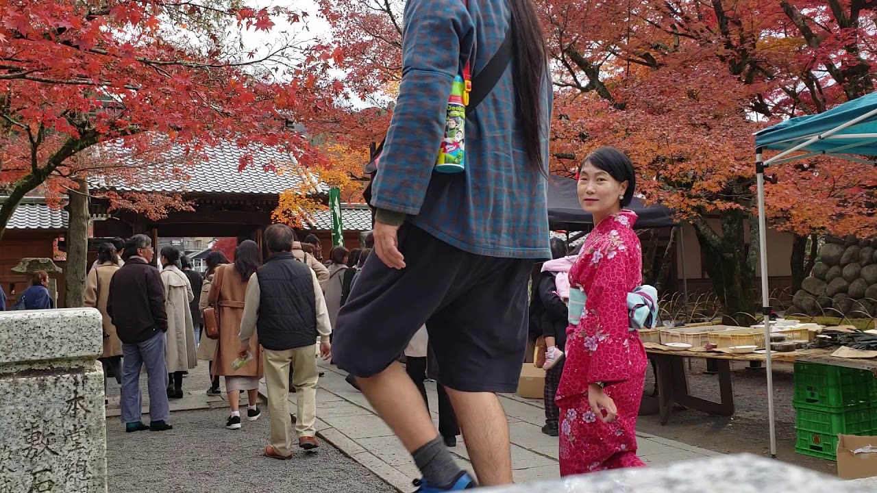 camera iphone 8 plus apk 心事