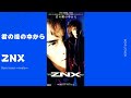 君の瞳の中から/ZNX