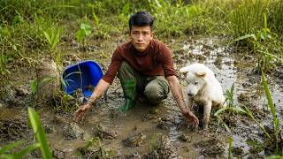 Catching Wild Frogs in the Forest After Rain with My Dogs, Go to Market Sell & Cooking | Slow Living screenshot 1