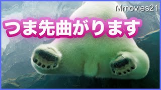 おすわりホッキョクグマ つま先や肉球の動きをじっくり観察　アザラシも追うリラ　Polar Bears Life