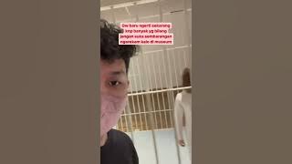 Terekam Kamera Mata Dari Patung Bergerak😱 #viral #penampakan #astral #youtubeshorts