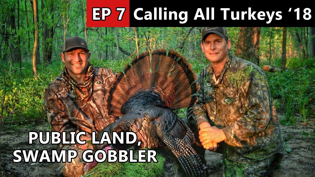 RIGHT OFF THE ROOST!!! Public Land Hunting In Wisconsin Calling All