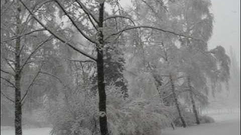 Aplication SPRING 2013 performed an illegal operation and will be shut down :-)))