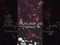 يا أيها الذين آمنوا اذكروا الله ذكرا كثيرا❤️ تلاوة روحانية جميلة خاشعة ❤️ #قران_كريم