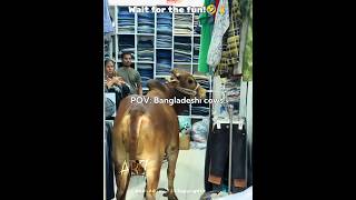 Bangladeshi cows...🇧🇩🔥#bangladesh #cow #trending #ar7 #edit #fyp #viralvideo