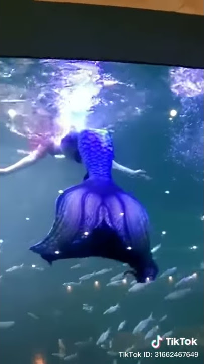 tik tok duyung