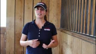 Veredus Magnetik 4-Hour Boots | FarmVet