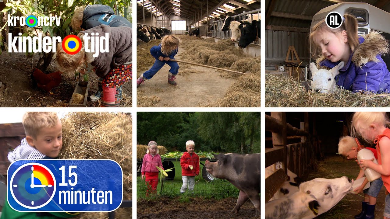 Koeien, lammetjes, varkens, kippen, kalfjes en paarden | 15 minuten | Kindertijd KRO-NCRV