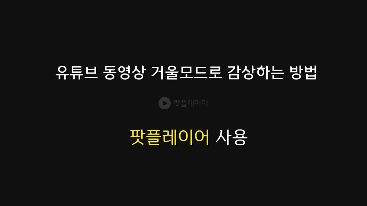 유튜브 동영상 거울모드로 감상하는 방법 (팟플레이어 사용)