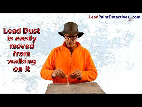 How much can 1 gram of lead dust contaminate?