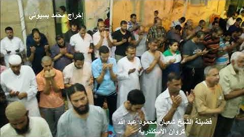 الشيخ شعبان محمود عبد الله سورة القدر والدعاء