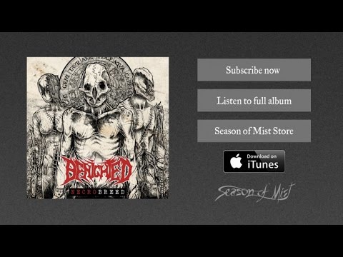 Benighted - Reptilian