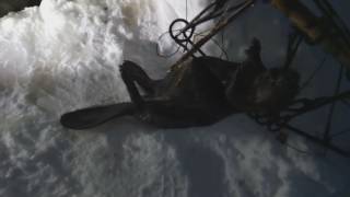 видео от подписчика, Андрей ловит бобра видео от подписчика, Андрей ловит бобра