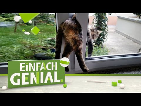 Video: Fensterglas vor Katzen schützen – wikiHow