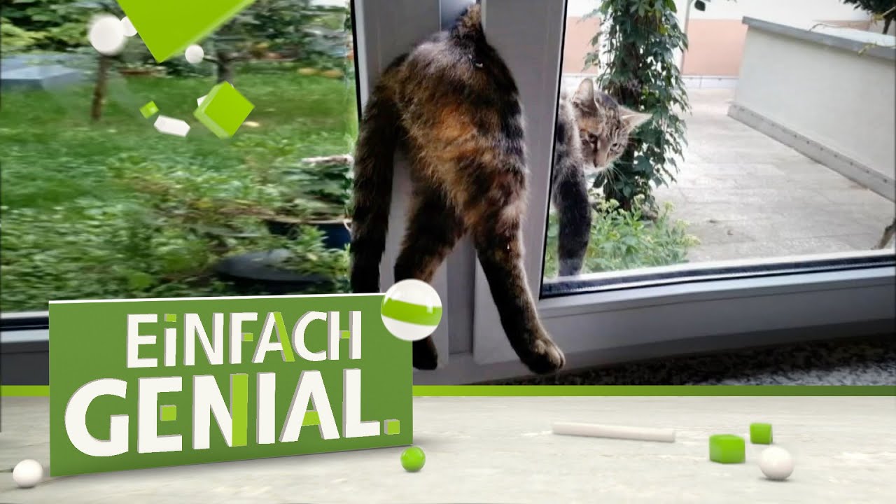 Katzenübergang für Fenster und Balkontüren | Einfach genial | MDR