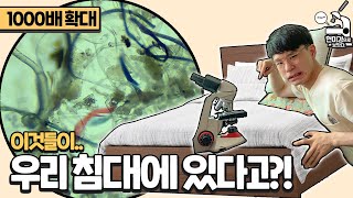 여러분 침대에 있는 더러운 것들을 현미경으로 1000배 확대했습니다! [미나니가 현미경으로 보았다]