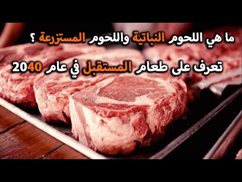 ما هو اللحم النباتي واللحم المستزرع تعرف على طعام المستقبل في عام 2040 مترجم