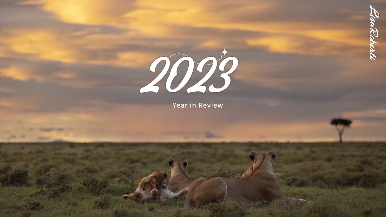 2023 year in review