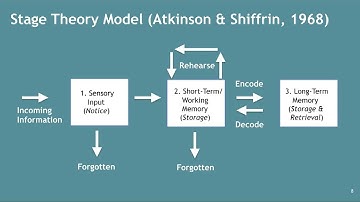Memory–Atkinson & Shiffrin