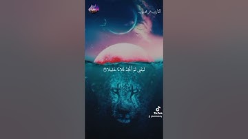#آيات قرانيةحالات واتس قران كريم بصوت القارئ عمر محجوب