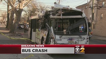 Bus Collides With Tree