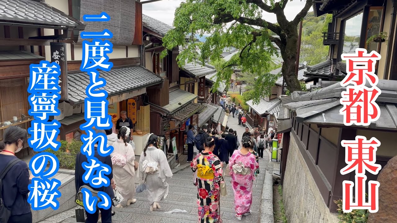 2024年4月22日 二度と見れない産寧坂の桜 京都東山を歩く Walking in