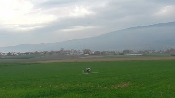 Trex 600 EFL PRO 3GX Gildas Höllmüller 3D adjustmen flight